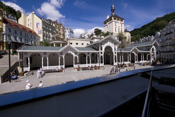 Hotel Apartment Karla Capka Street (Karlovy Vary)